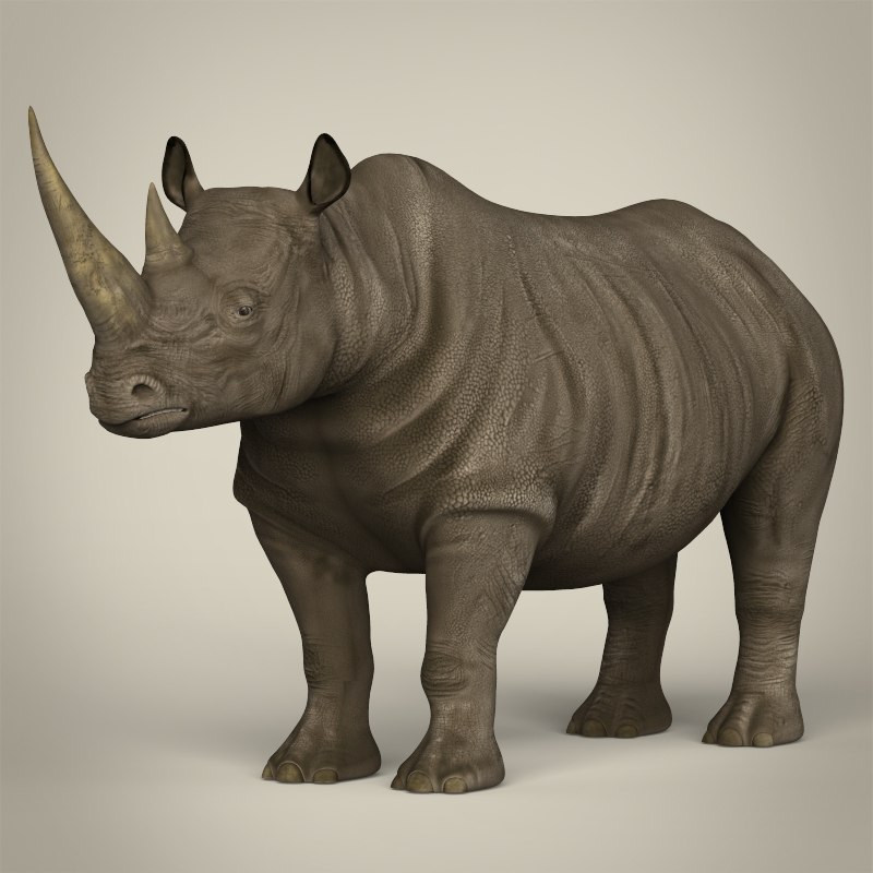 Rhino 3d free downloads